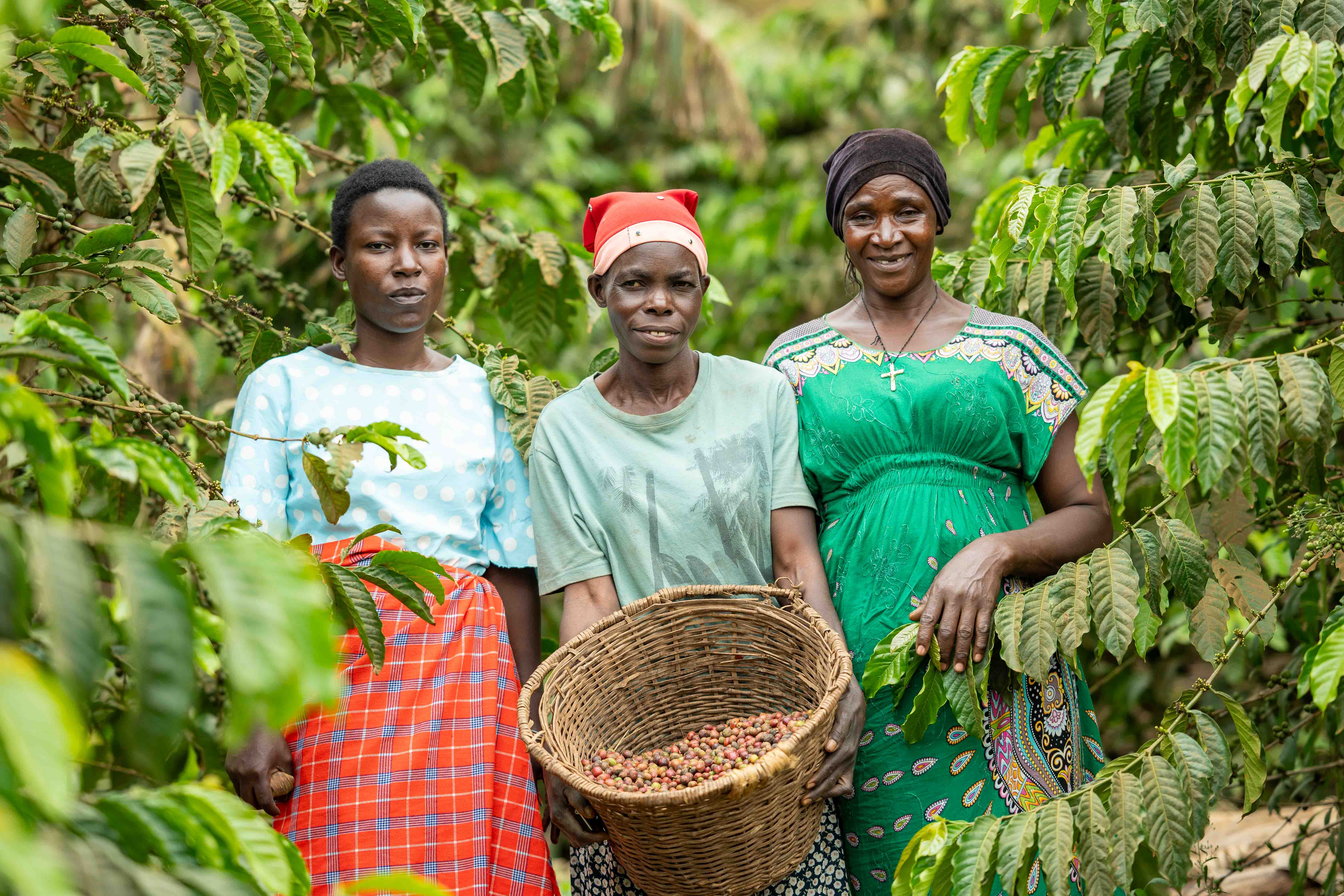 Okurut Photography Uganda — Documentary Film